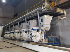 Termine das raizes de madeira, ramo à produção de madeira da pelota