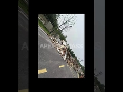 Linha de produção de pellets de madeira de biomassa de tipo CPM 20T/H com baixa energia